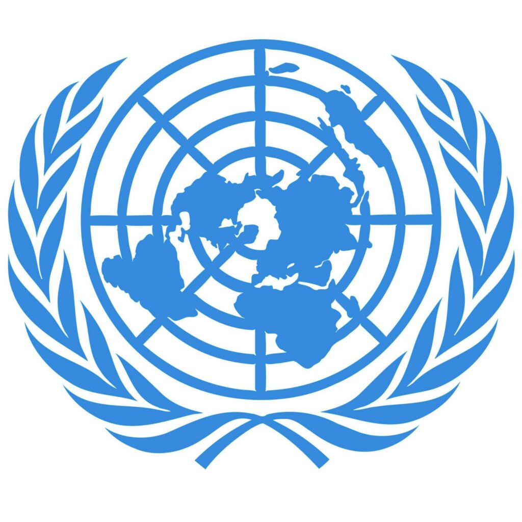 Did The United Nations Condemn The United States For Racism?